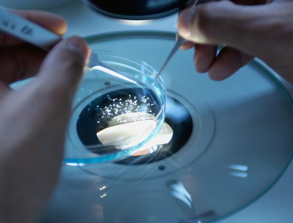 Close-up of a scientist handling stem cell samples in a modern lab.